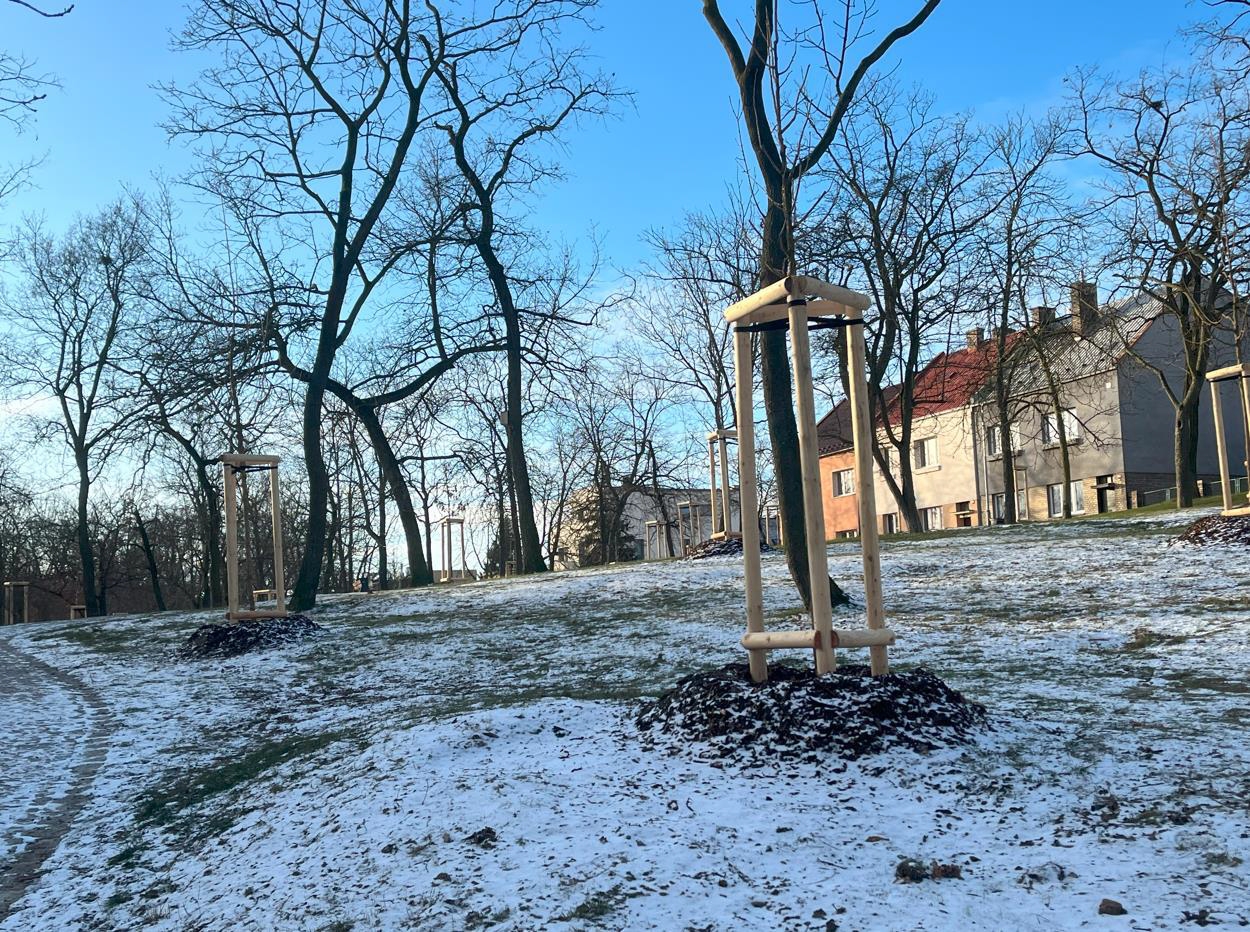 Obnova/vegetační úpravy městského parku Holárkovy sady v Lounech