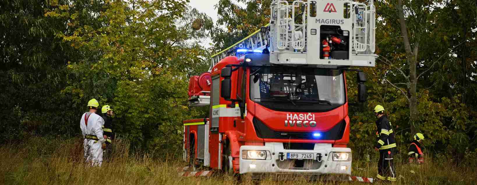 Hasiči odstraňují hnízdo sršně asijské, foto: Jan Walter
