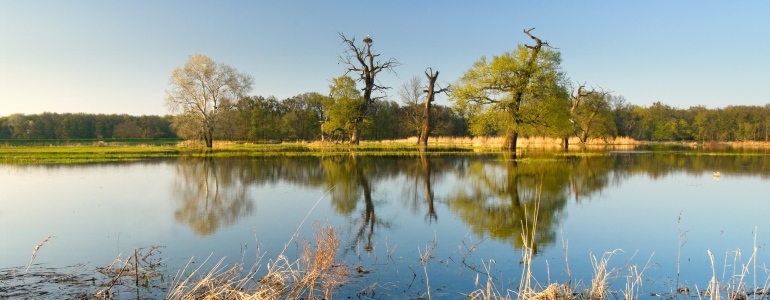 Soutok Protected Landscape Area.