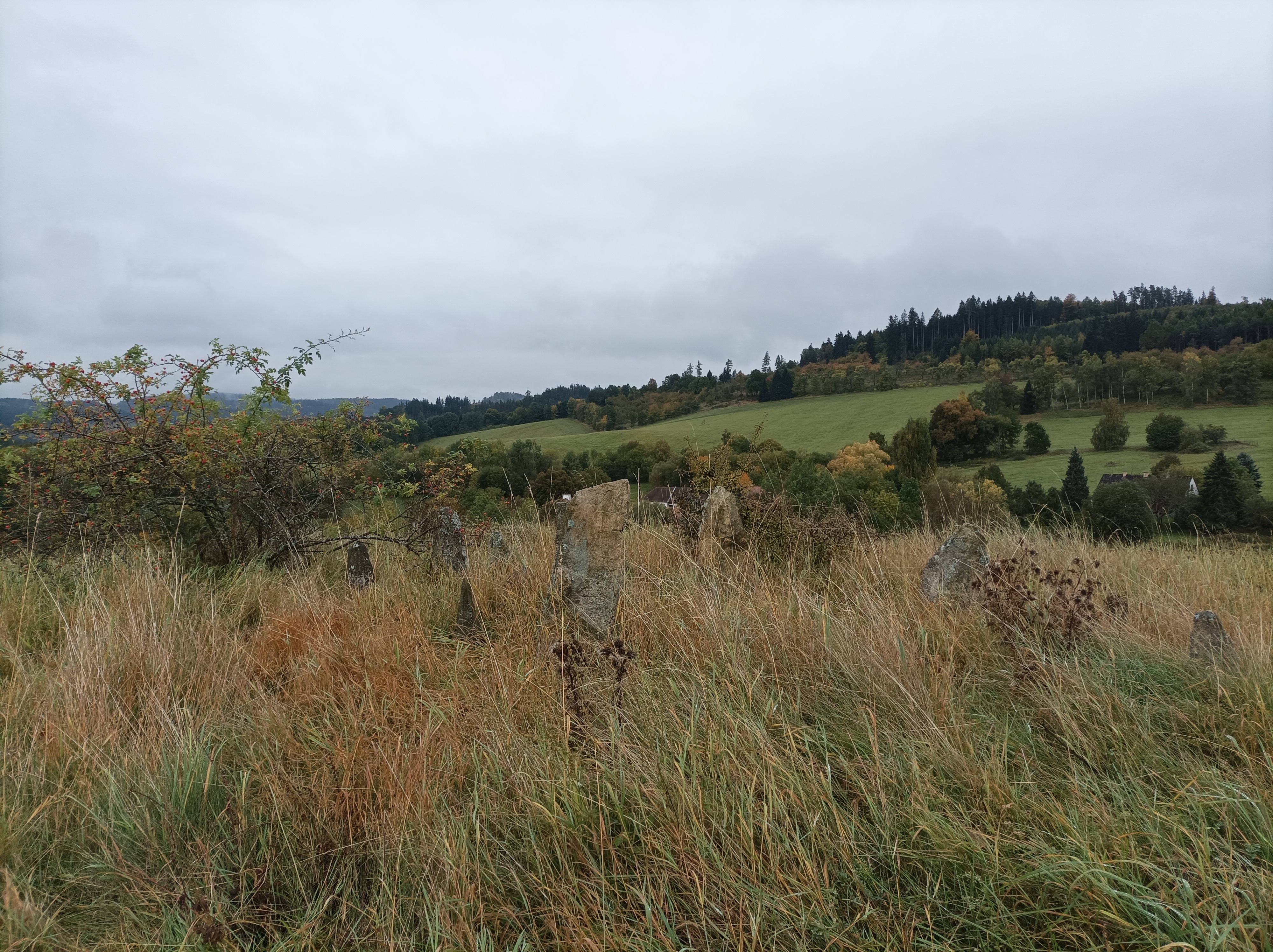 Pochod Blanským lesem 2026.