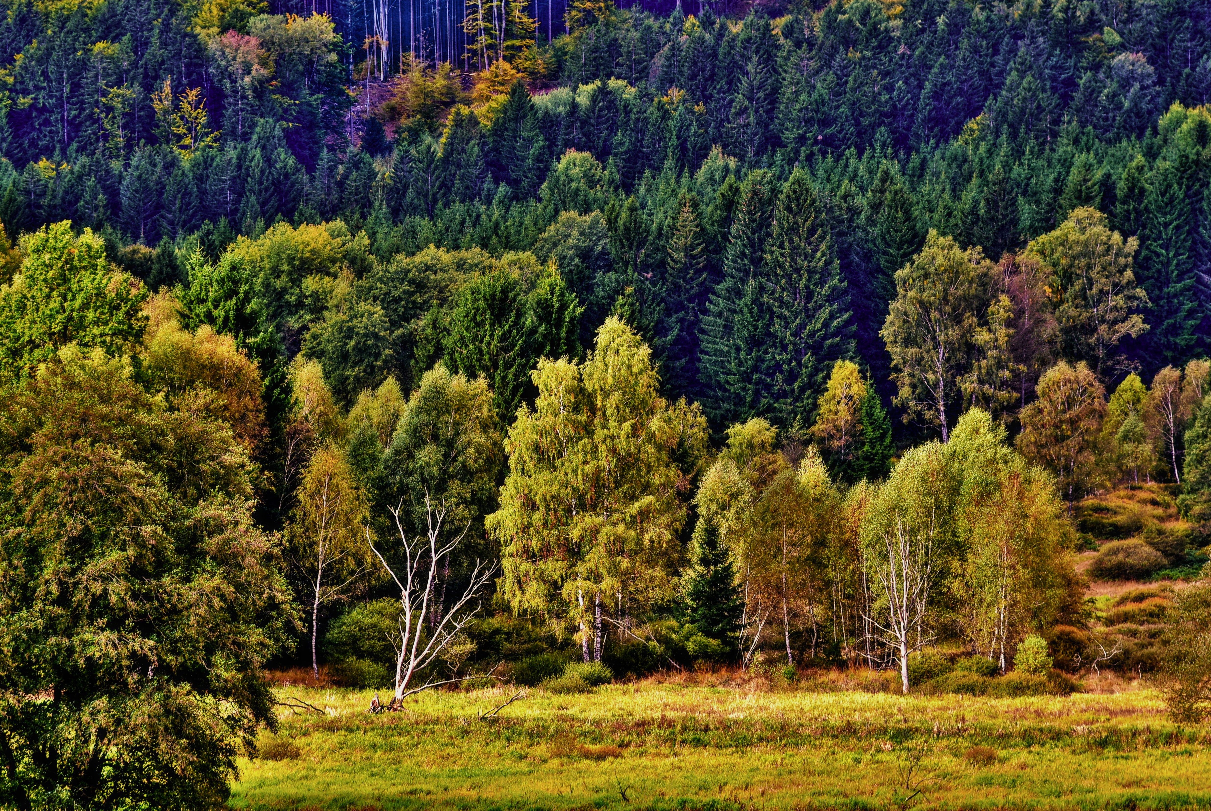 4. místo - Krajina na Černé řece