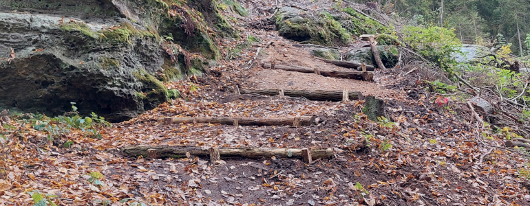 Terénní stupně z akátových klád jsou zakotveny ve svahu.