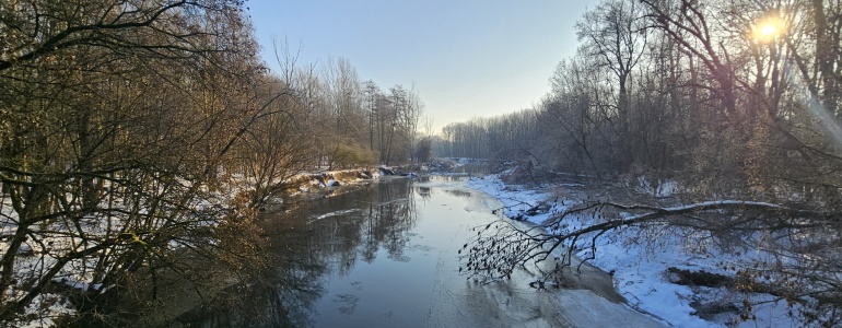 Pohled na zimní řeku Moravu