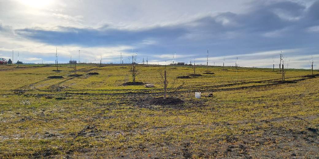 Nová Kaštanka, foto Vero¨nika Čermáková